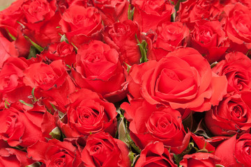 bouquet of red roses for romantic gift background