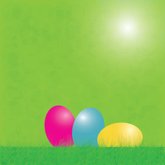 Easter background and egg in grass .
