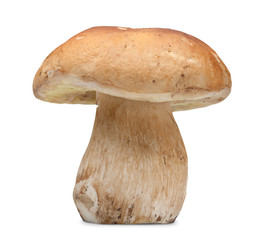 cep on white