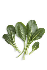 Fresh green Komatsuna leaves