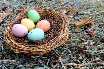 Twig nest and easter eggs on spring grass
