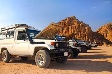 Safari on jeeps © hramovnick