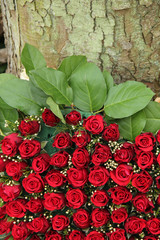 red floral arrangement