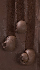 ice cream swirls from top view