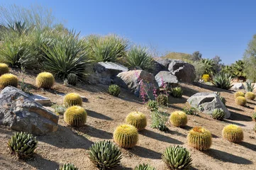 Afwasbaar fotobehang Colorful desert landscape © Steve Minkler
