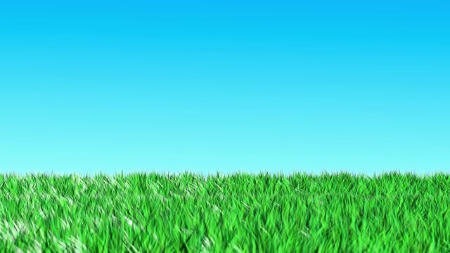 Grass loop animation