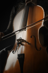 Cello musical instrument cellist