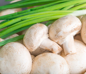 mushrooms and green onions