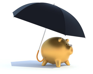golden piggy bank protected by black umbrella