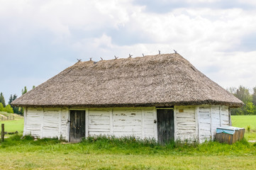 Fototapeta na wymiar A typical antique Ukrainian wooden country house or farm with a thatch roof, in the countryside near Kiev 