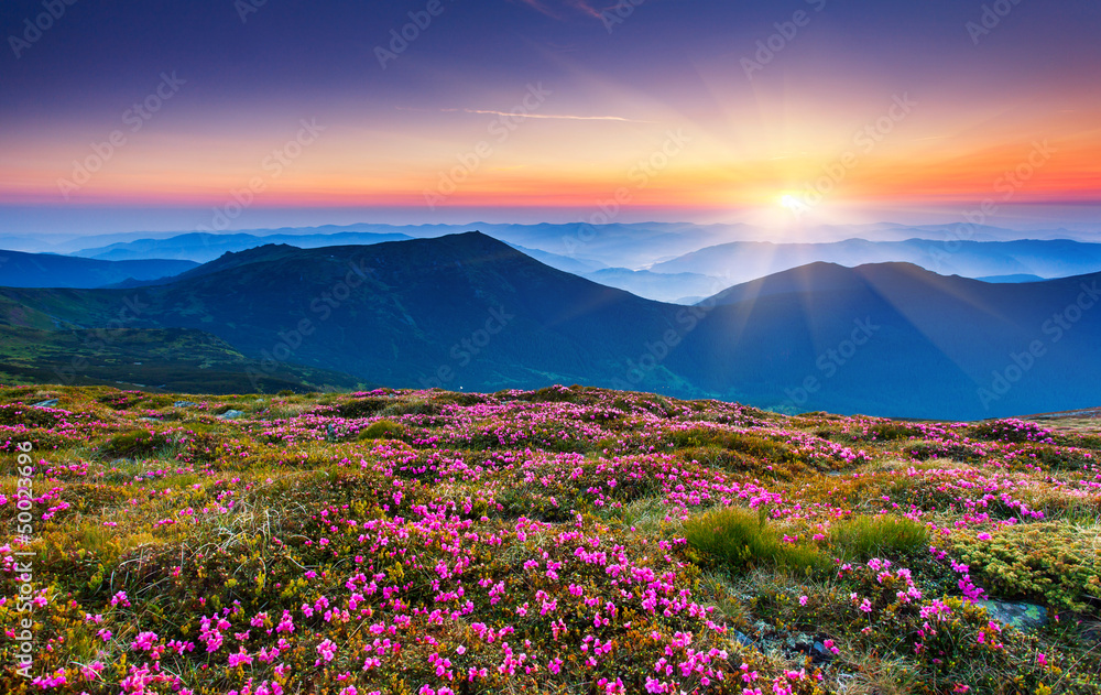 Fototapete mountains landscape