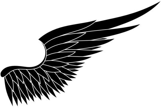 black freedom