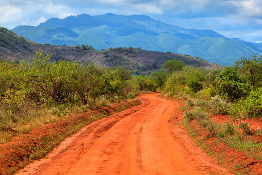 Red ground road and savanna. Tsavo West, Kenya, Africa