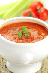 Fresh vegetarian tomato and celery soup