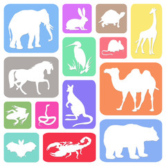 Set of animals in colorful rectangles