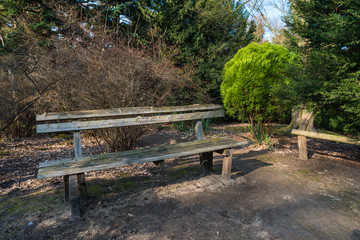 bench in park