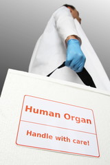 Arzt mit Box fuer Transplantationsorgan