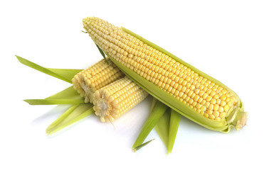 fresh corn fruits