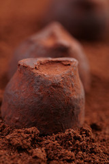 chocolate truffles