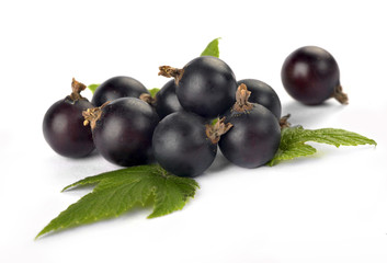 black currants with leaves
