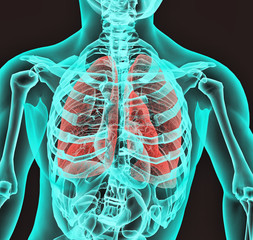 Radiografia aparato respiratorio