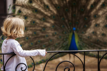 Child and indian peacock