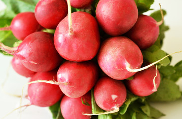 bunch of radishes