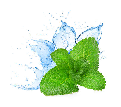 Mint Leafs Water Splash