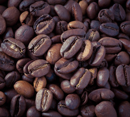Roasted coffee beans.