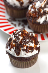 Chocolate cupcakes