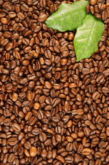 Coffee beans and leaves background