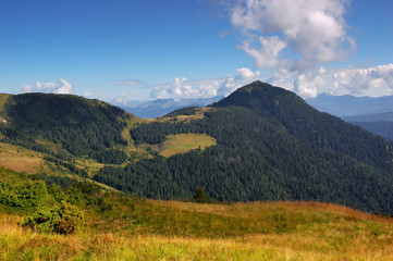 Fototapeta premium Letnia góra