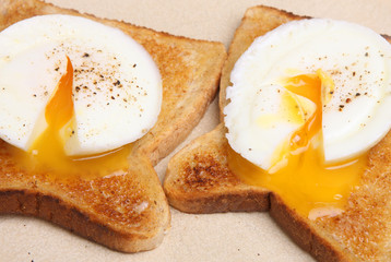 Poached Eggs on Toast
