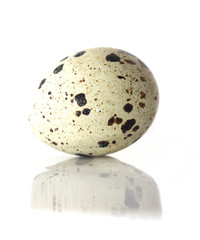 quail eggs on a white background. macro