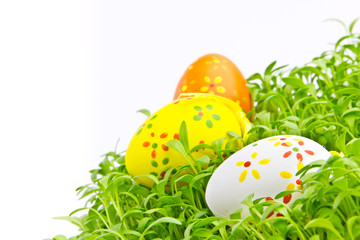 Decorative easter eggs in a grass