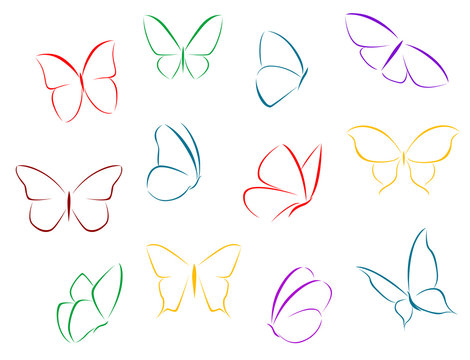 Butterflies color silhouettes