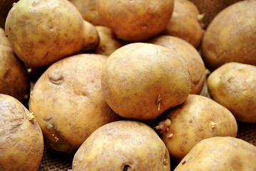 Whole Potato Background