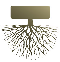 Concept with tree root