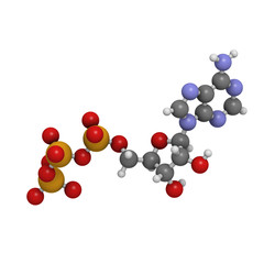 Adenosine triphosphate (ATP) energy transport molecule, chemical