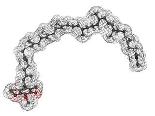 Coenzyme Q10 (ubiquinone), molecular model