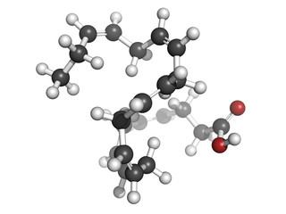 Omega-3 fatty acid docosahexaenoic acid, molecular model.