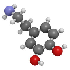 Dopamine neurotransmitter molecule, chemical structure