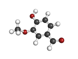 Vanillin vanilla extract molecule, chemical structure.