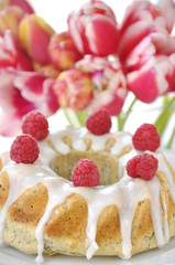 Mohn Gugelhupf mit Himbeeren