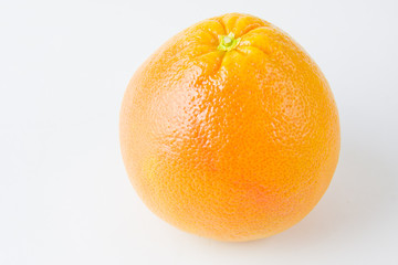 orange on a white background