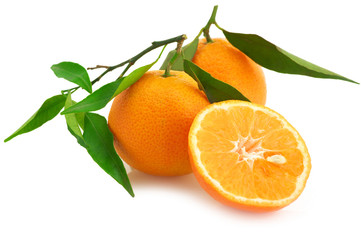 Fresh tangerines