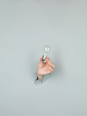 female hand holding lightbulb