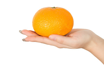 Hands and oranges