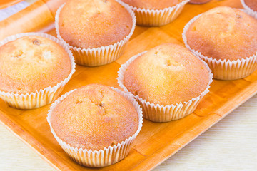 cakes in paper forms on a decorative tray
