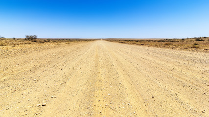 Fototapeta na wymiar desert road